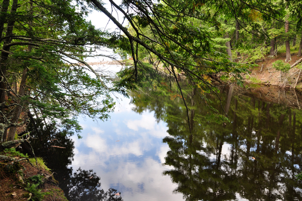 reflections in Presque Isle River
